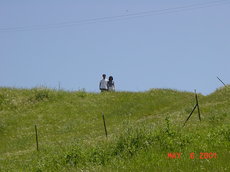 Bina and Chtan with in between green and blue.JPG