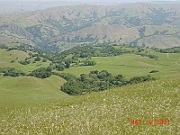 Beautiful Mountain