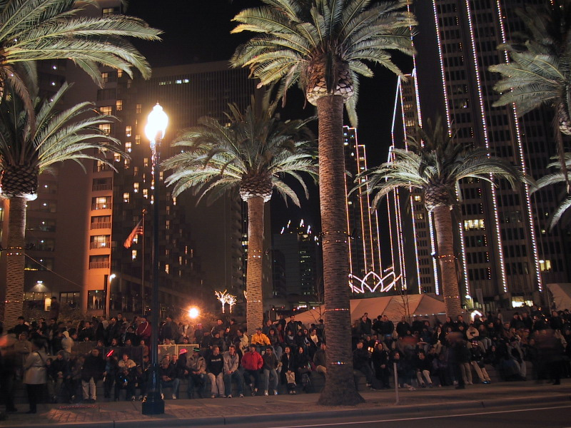 Palm Trees in San Francisco.jpg