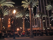 Palm Trees in San Francisco