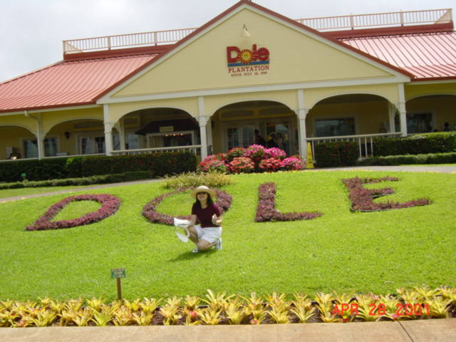 Swina at Dole Plantation Front View.JPG
