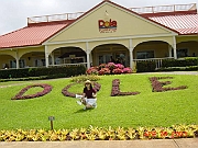 Swina at Dole Plantation Front View