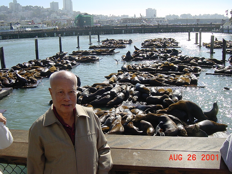 DSC00032 - Sea Lion, Pier 39, San Francisco.JPG