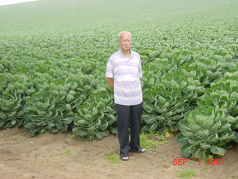 DSC00049 - Santa Cruz.JPG