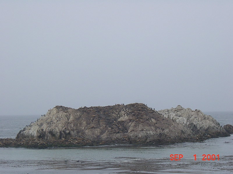 DSC00053 - Along 17-Mile Drive, Monterey Bay, California.JPG