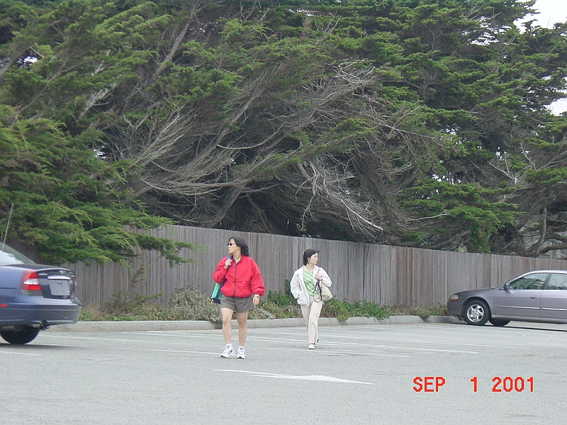 DSC00056 - Along 17-Mile Drive, Monterey Bay, California.JPG