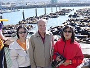 DSC00029 - Sea Lion, Pier 39, San Francisco