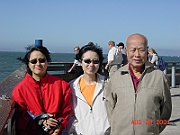 DSC00038  - Sea Lion, Pier 39, San Francisco