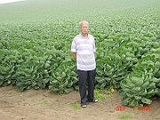 DSC00049 - Santa Cruz