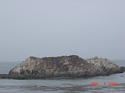 DSC00053 - Along 17-Mile Drive, Monterey Bay, California