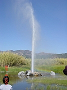 DSC00068 - Old Faithful Geyser, Calistoga, California