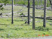 01-07-22-094729