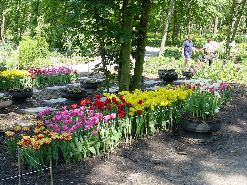 02-06-09-100435.JPG