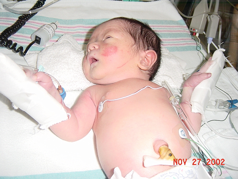 02-11-27-054242.JPG