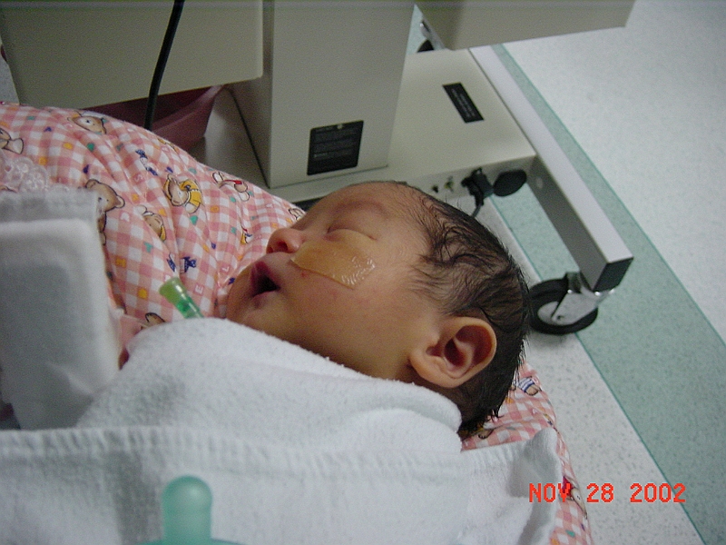 02-11-28-100105.JPG