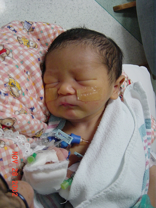 02-11-28-100625.JPG