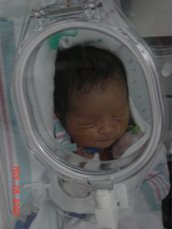 02-11-28-101213.JPG
