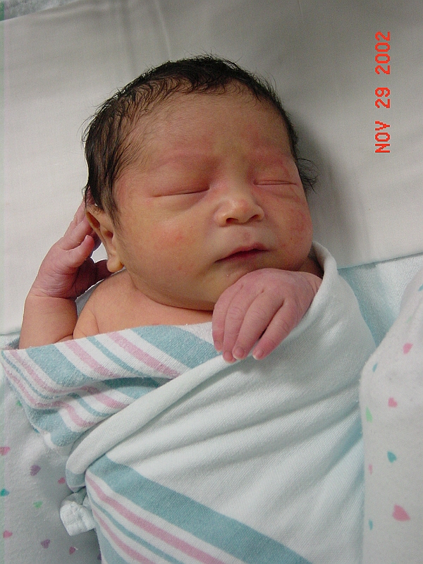 02-11-29-211810.JPG