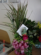 02-11-29-122515