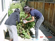 02-09-07-124813