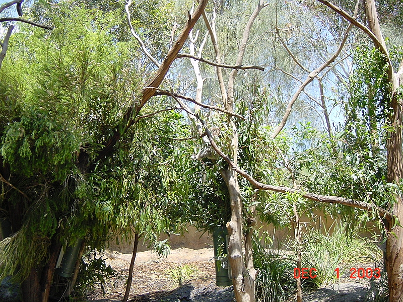 03-12-02-673.JPG