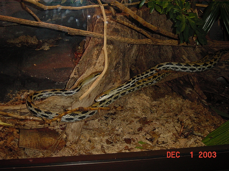 03-12-02-691.JPG