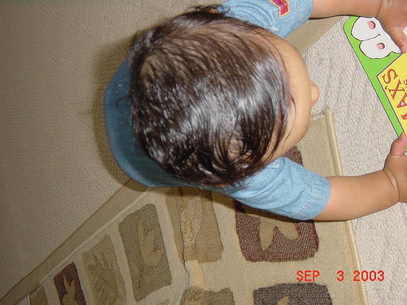 03-09-03-309.JPG