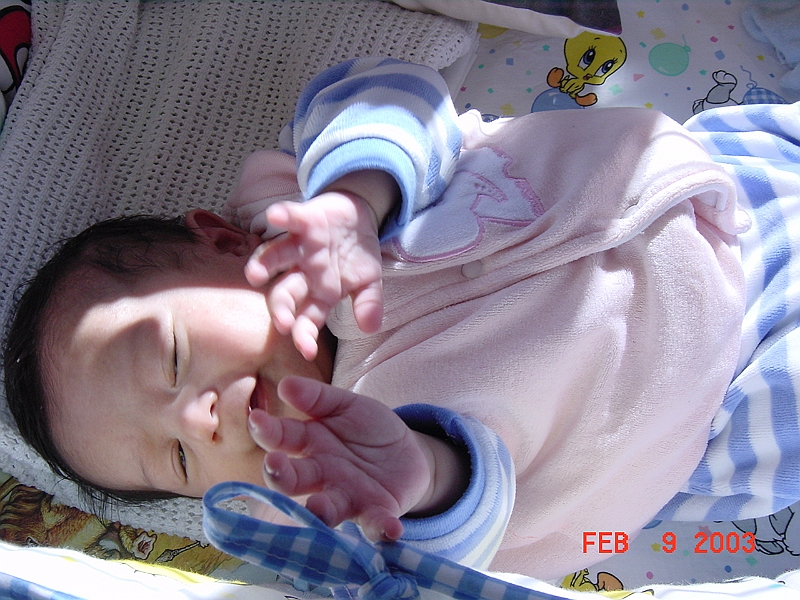 DSC00081.JPG