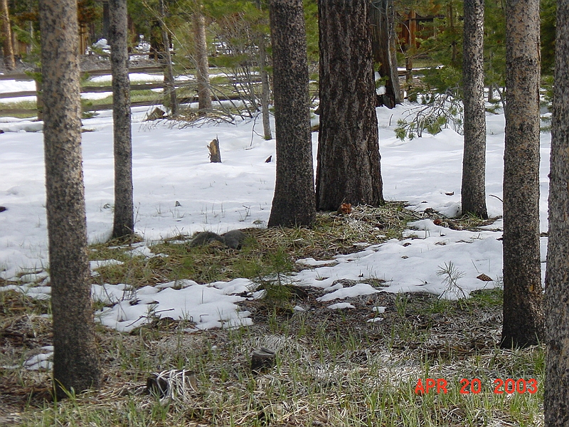 DSC00002.JPG