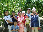 Cherry Picking