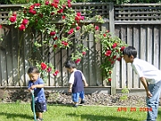 04-04-25-1117