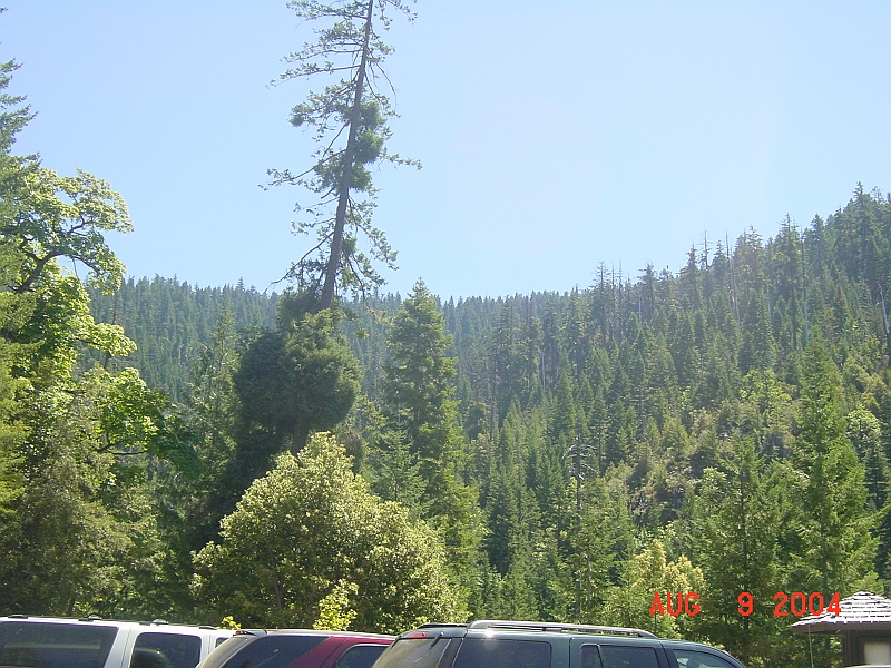 04-08-09-1654.JPG