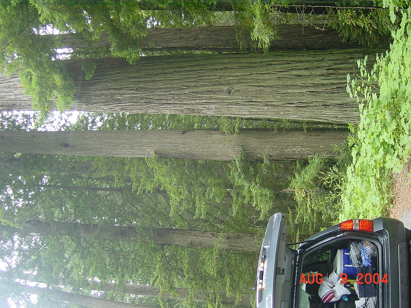 04-08-09-1665.JPG