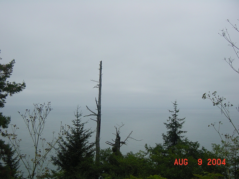 04-08-09-1666.JPG