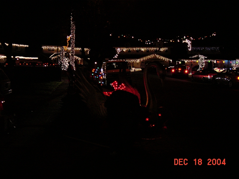 04-12-18-2010.JPG