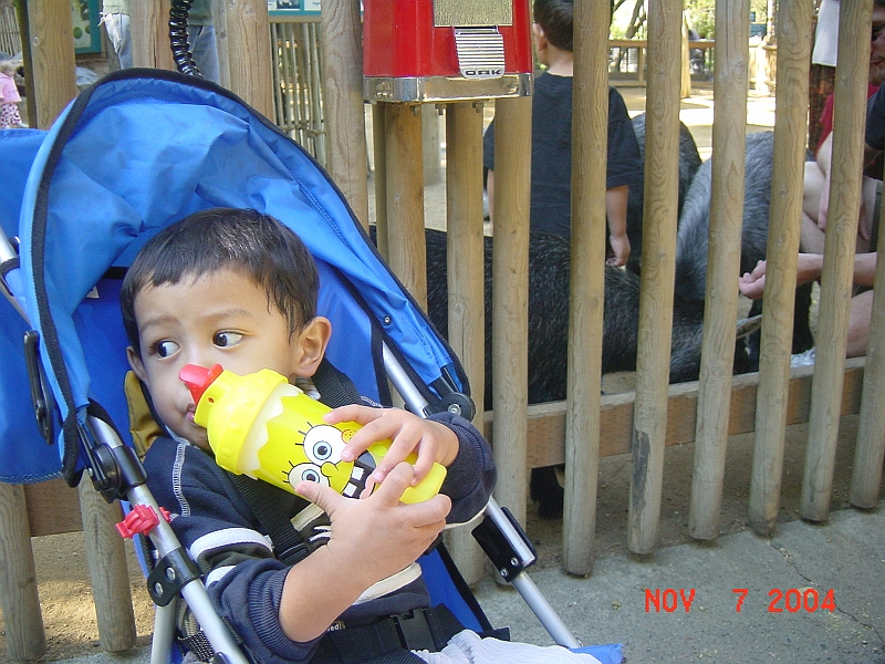 04-11-07-1880.JPG