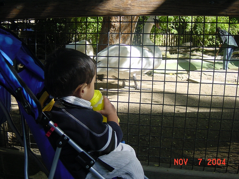 04-11-07-1881.JPG