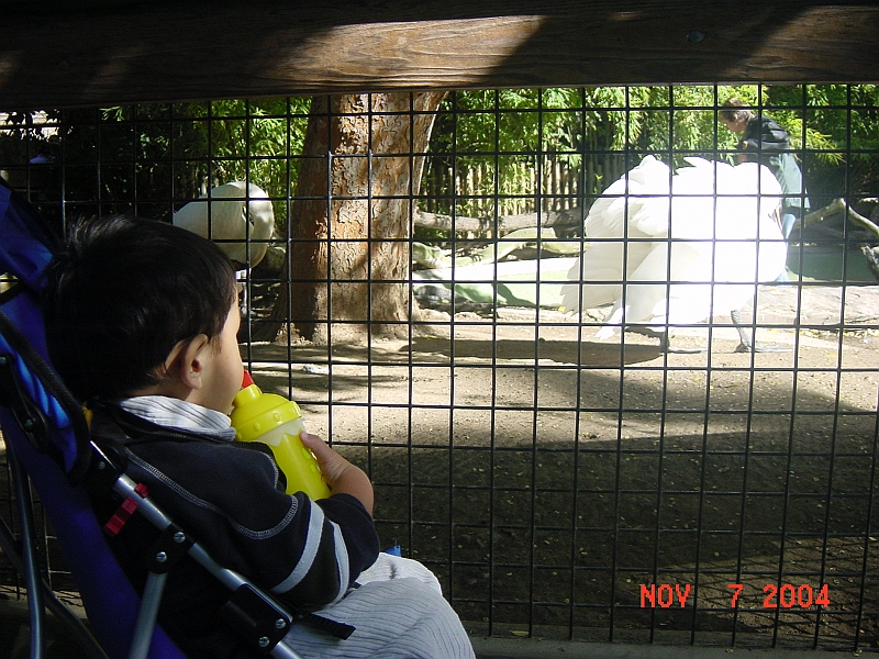 04-11-07-1882.JPG