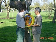 04-03-14-1017