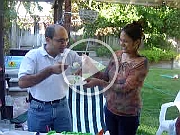 MOV01552