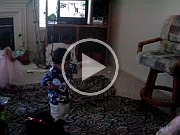 MOV01586