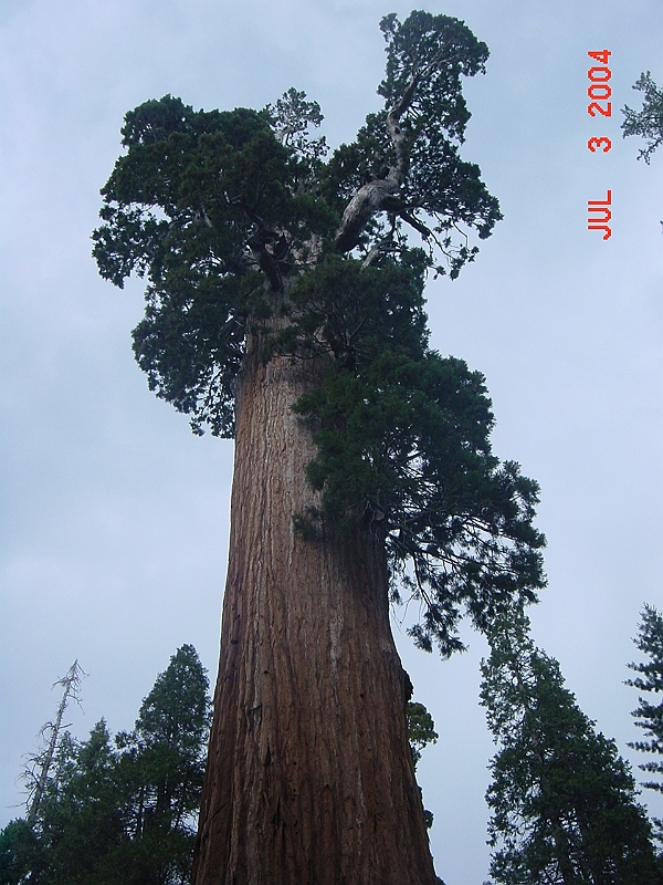 04-07-03-1456.jpg