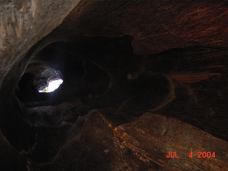 04-07-04-1487.JPG