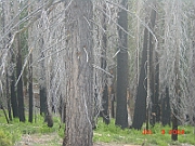 04-07-03-1476