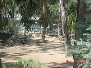 04-05-09-1169