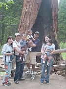 Sequoia and Kings canyon