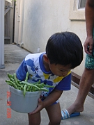 05-07-10-2671