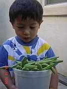05-07-10-2676