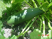 05-07-23-2685