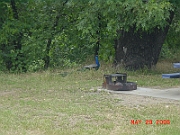 05-05-29-2520
